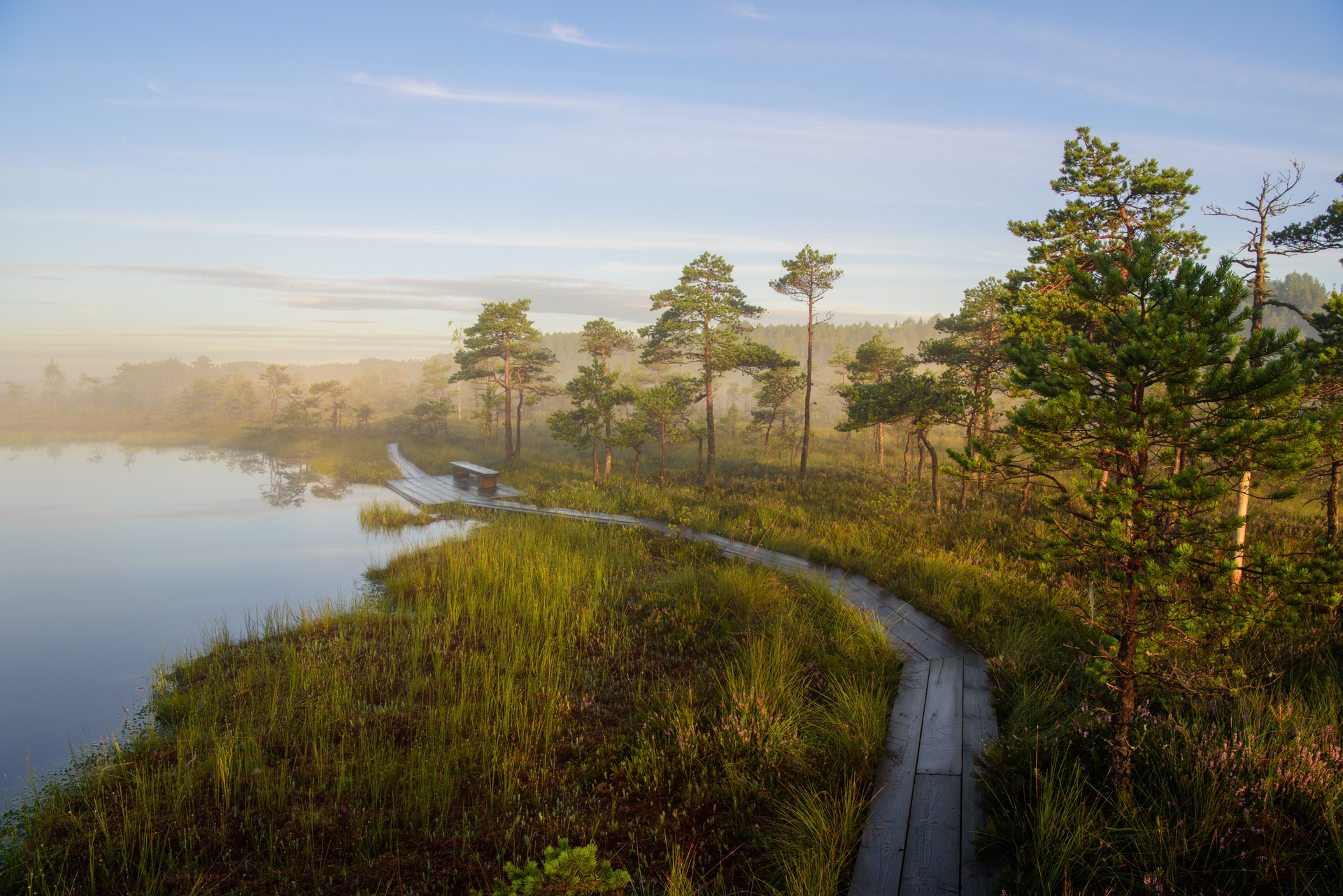 Soomaa National Park